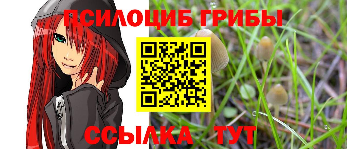 Галлюциногенные грибы Magic Shrooms  Псилоцибиновые грибы мухоморы  Вход с VPN  хочу наркоту  Волгодонск 